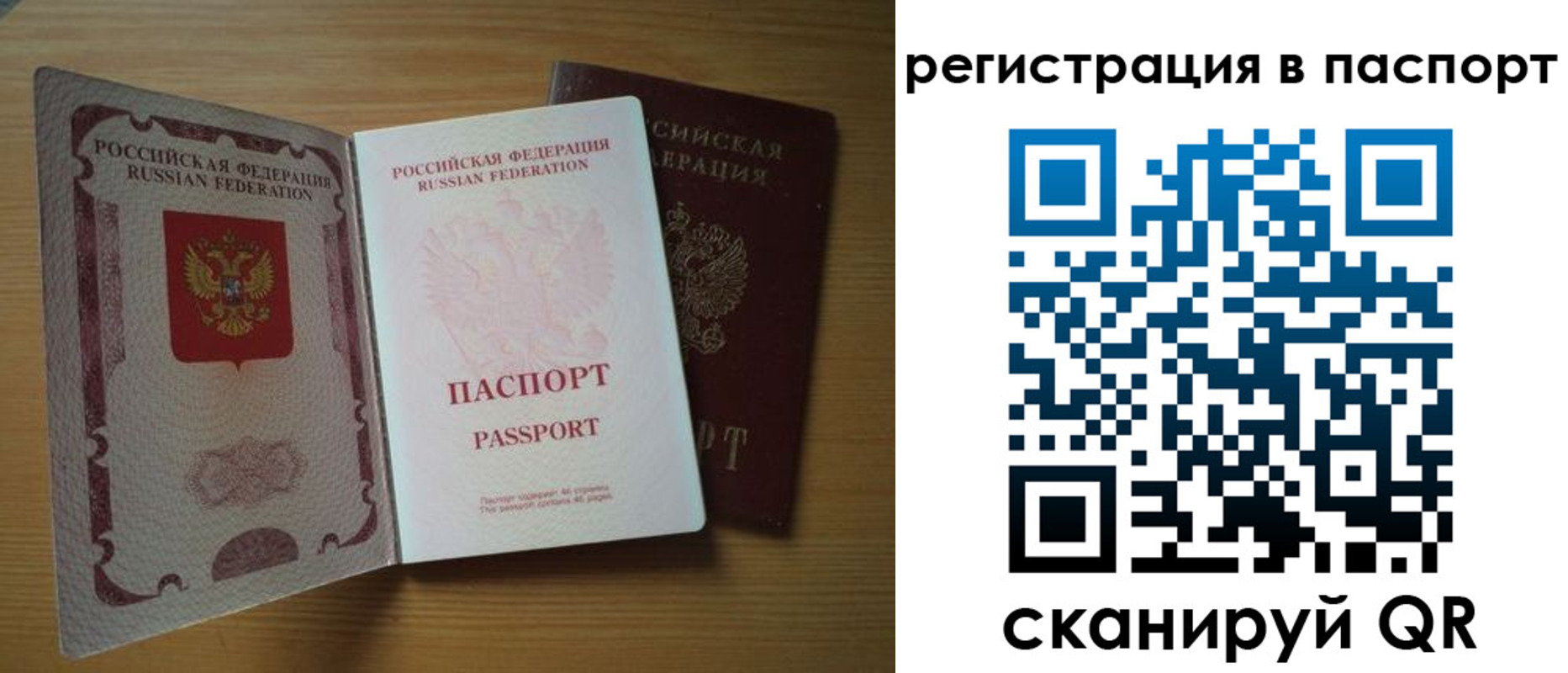 прописка 2025 в Купино